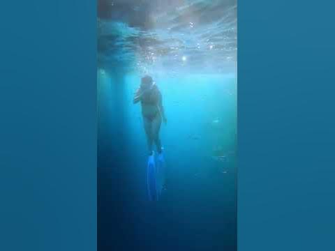 Mermaids 🧜‍♀️ - YouTube
