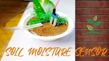 Arduino Soil Moisture Sensor Relay Control || Smart irrigation