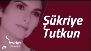 Şükriye Tutkun | Bir Çift Turna Gördüm Resimi