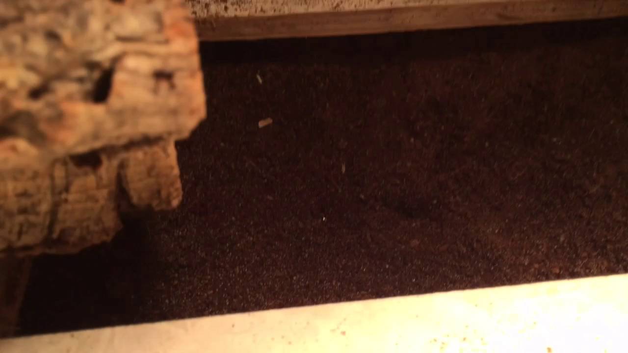 Baby water monitor set up YouTube