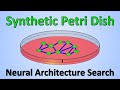 Synthetic Petri Dish: A Novel Surrogate Model for Rapid Architecture Search (Paper Explained)