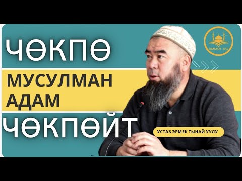 Video: Качан унчукпоо сөздөрдөн күчтүүрөөк сүйлөйт?