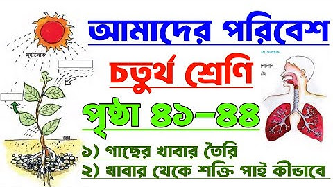 Amader Poribesh | Class 4 | Page 41-44 | আমাদের পরিবেশ | চতুর্থ শ্রেণি | পৃষ্ঠা ৪১-৪৪ #evs #class4