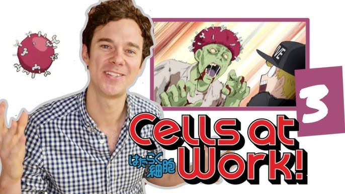 Cells at Work! Episode 1 Review - An Epic Adventure In The Human Body! 