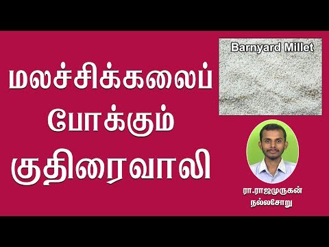 மலச்சிக்கலைப் போக்கும் மாமருந்து குதிரைவாலி அரிசி