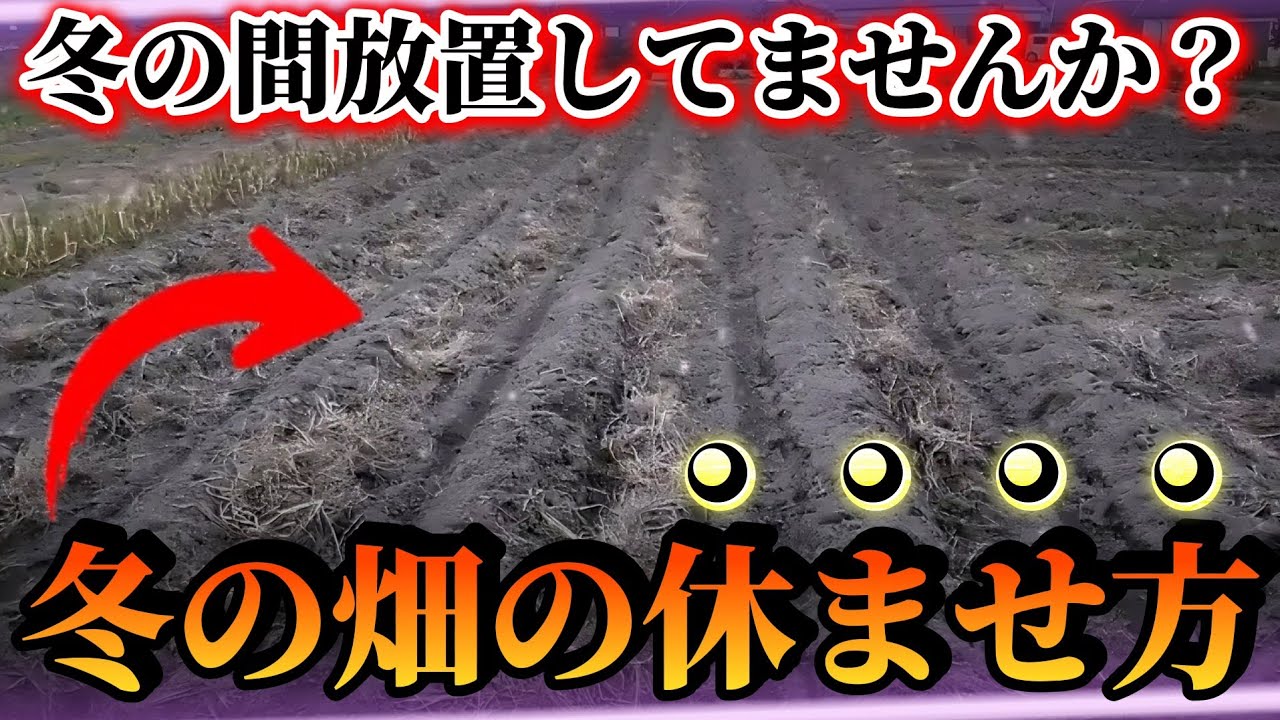We will explain in detail how to rest your fields efficiently. By