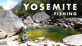 Fishing INCREDIBLE Streams in Yosemite National Park! (Tenkara Fly Fishing)