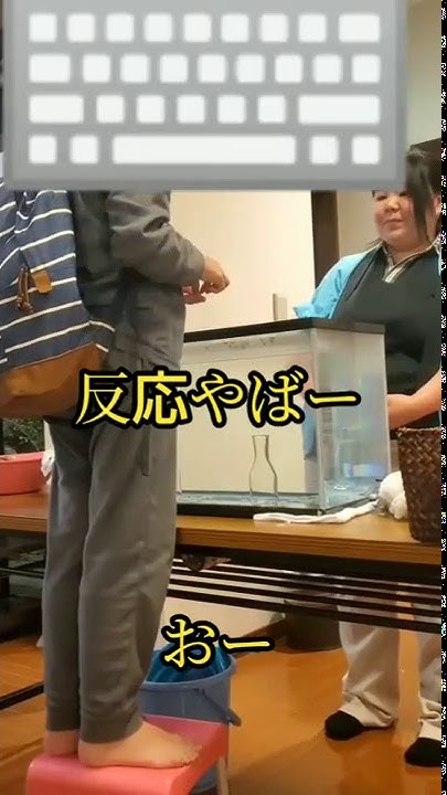 ユウキンtv Youtube