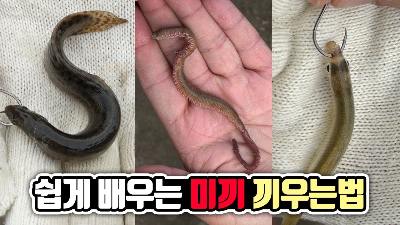 미끼별 바늘에 끼우는 법 초간단 정리!