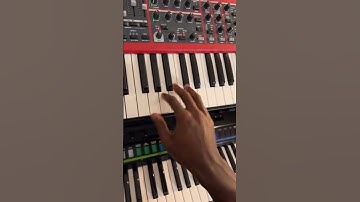 How to play a Nord wave 2              #SynthSolo #NordWave2 #MusicLovers #Synthesizer #MusicianLife