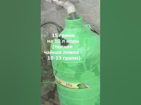 Обработка монофосфатом калия огурцов, томатов и всех растений - YouTube