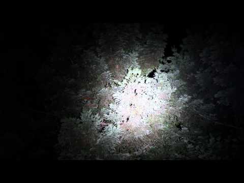 Flashlight Test - Maelstrom G5 vs Surefire E1B
