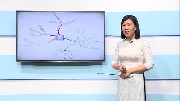 Quyền và nghĩa vụ của công dân trong hôn nhân - Giáo dục công dân lớp 9