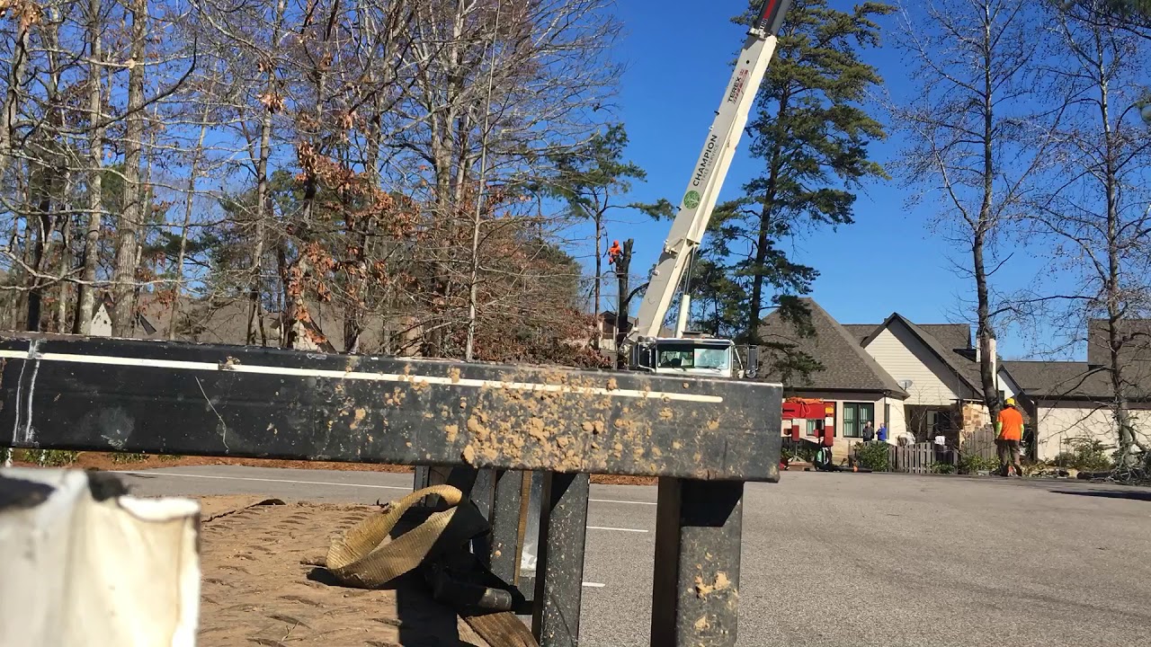 Time lapse of tree removal with 30 ton crane