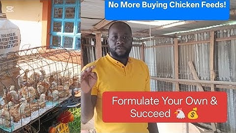 How to Succeed in Chicken Farming Without Buying Feeds
