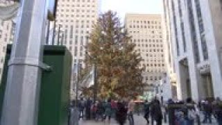 Poll: Americans grateful, stressed at holidays