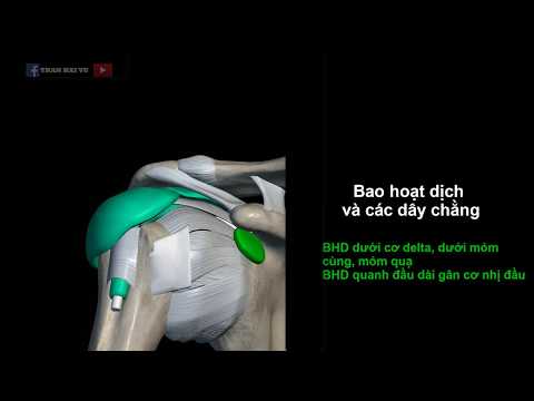 Video Giải phẫu MRI khớp vai - youtube