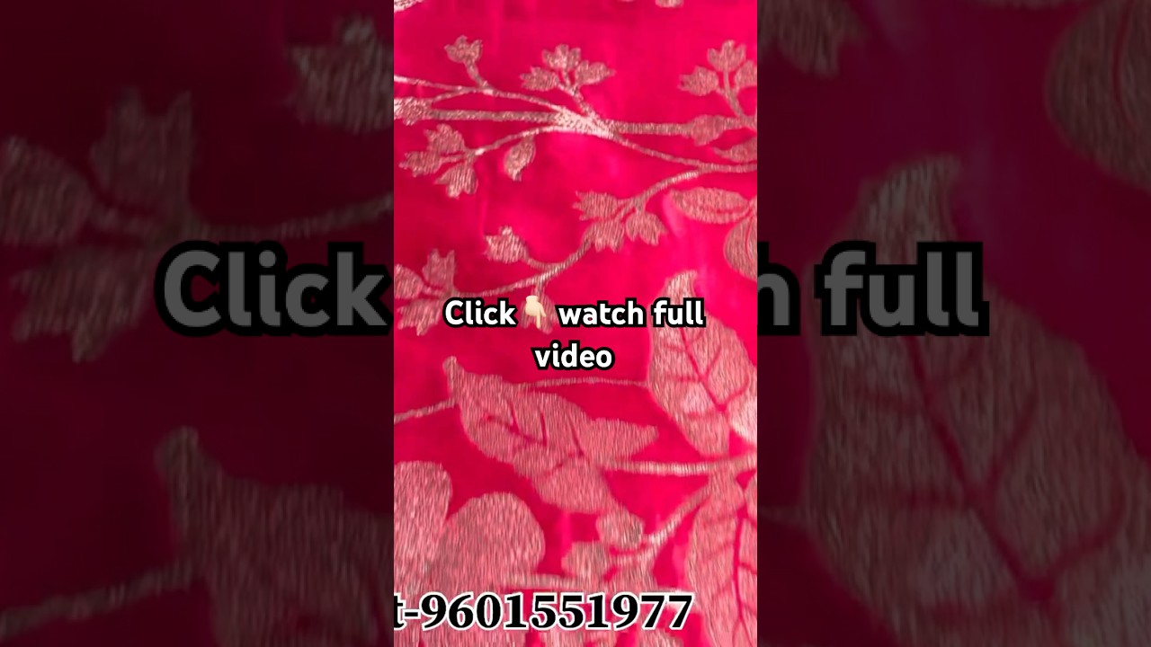 Luxurious vegan saree