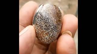 Natural Batu Wisa Big Size - Anti Bisa - Wiso - Batu Upas - Hisap Racun - Ntd