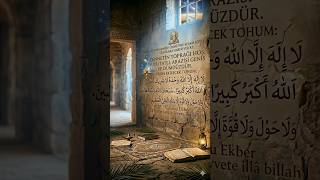 16863.Resûlullahın Sallallahu Aleyhivesellemmirâca Çıkarıldığım Zaman, İbrahîmul-Halili Gördüm