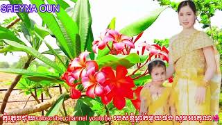 💯តន្ត្រើដ៍ស្រស់ស្អាតទន់ភ្លន់ស្ងប់ស្ងាត់សម្រាប់ព្យាបាលការគេងមិនលក់🌺