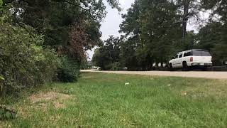 UP 8357 SB Flagless Leads Manifest Magnolia,Tx