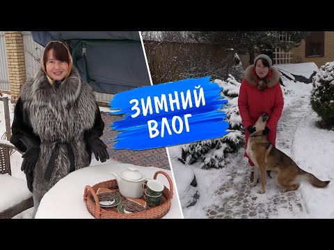 Видео: Большой садовый блог о загородной жизни зимой. Зимний сад, Космос, Марта, Луна и Блинный торт.