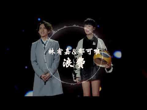【蒙面唱将】 林宥嘉 & 郁可唯   《浪费》 动态歌词版本 【没关系你也不用给我机会，反正我还有一生可以浪费   】