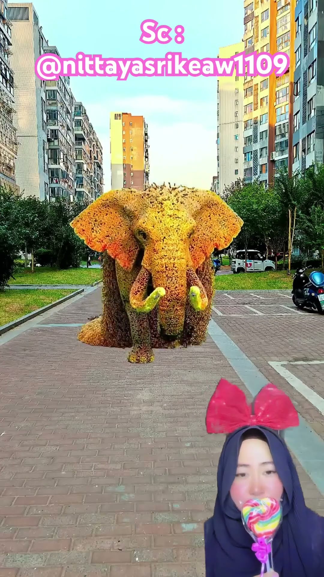 AWASSS GAJAH ADA ASBES JATUH ⁉️? @nittayasrikeaw1109 #shorts #funny #dubbing