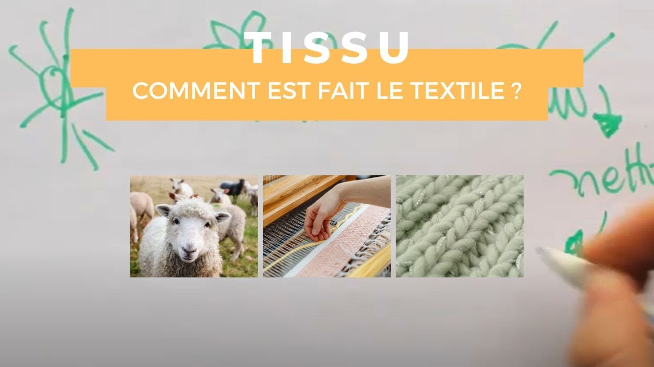 Comprendre la fabrication d'un tissu: le circuit du TEXTILE EN DESSIN, de la plante au vêtement 🍃