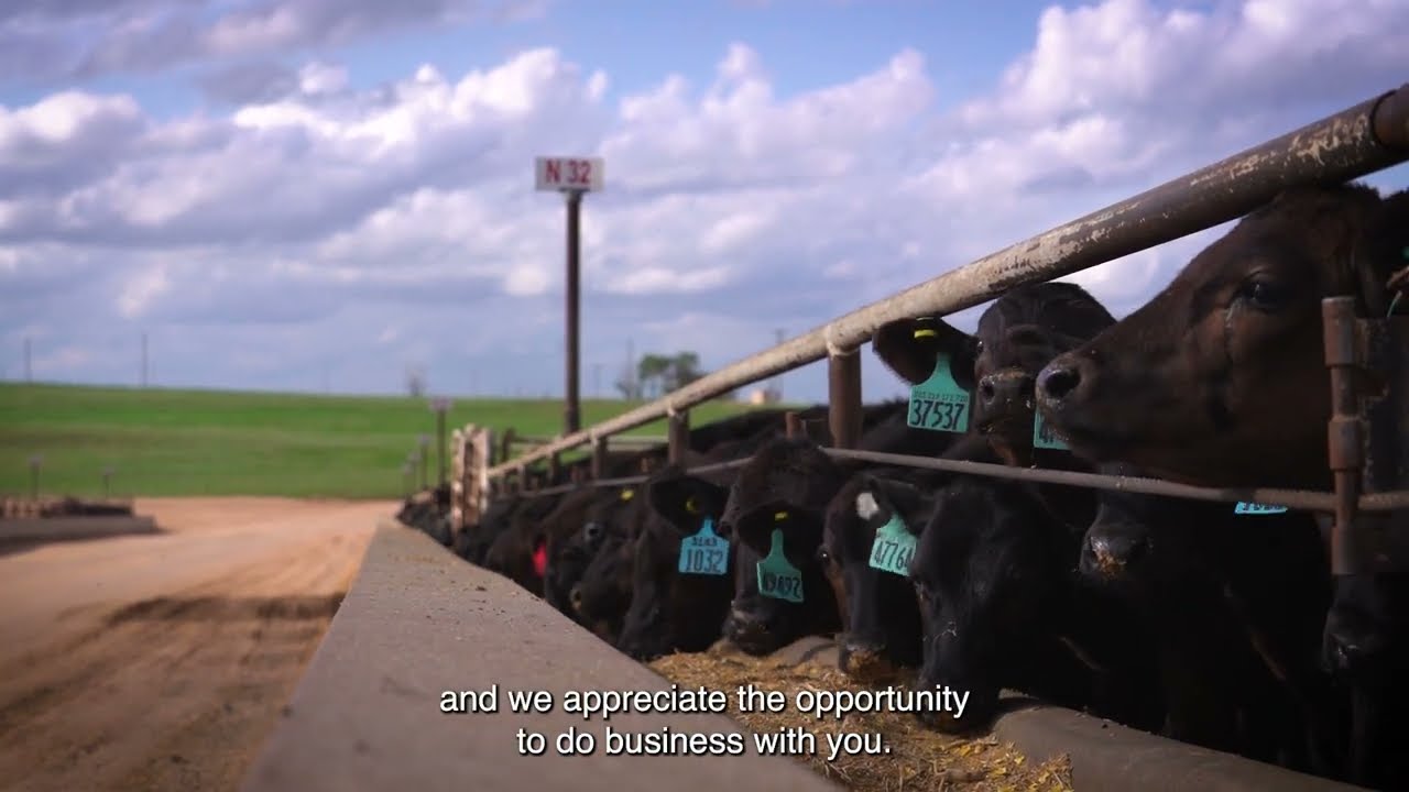 The All New Allflex A-Tag Feedlot