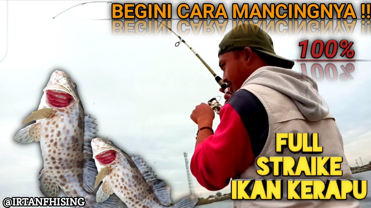 CARA JITU MANCING IKAN KERAPU # MANCING KERAPU TERBARU