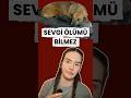 Sevgi ölümü bilmez. #köpek #hayvanlar #masha #sevgi