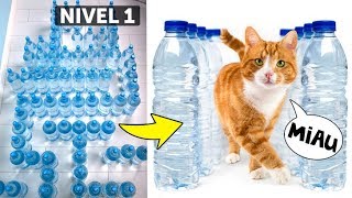 Un enorme laberinto de botellas con agua para tus mascotas favoritas🐾