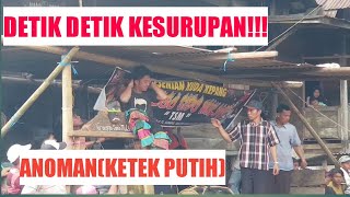 Detik detik Kerasukan Kera putih!!Kuda kepang TSM!!!Curup-Bengkulu