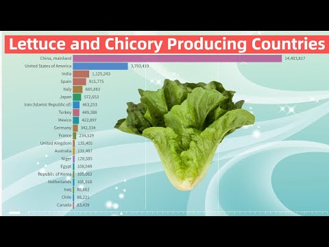 Which Country Produces The Most Lettuce
