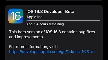 iOS 16.3 Developer beta