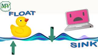 Science Primary 2: Float or Sink