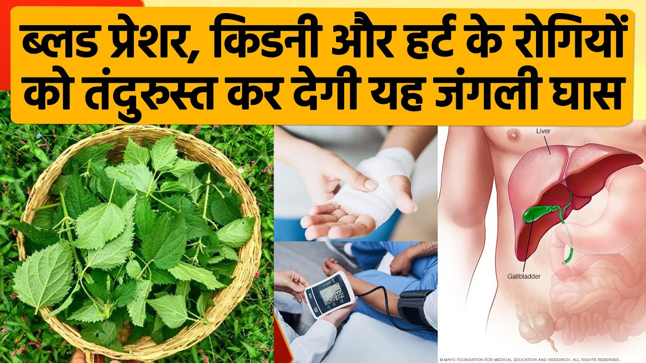 Kidney Blood Pressure Heart kidney-blood-pressure-heart