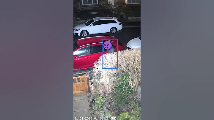 Reolink Captures: 🚨Check out this eye-catching #reolinkcaptures !