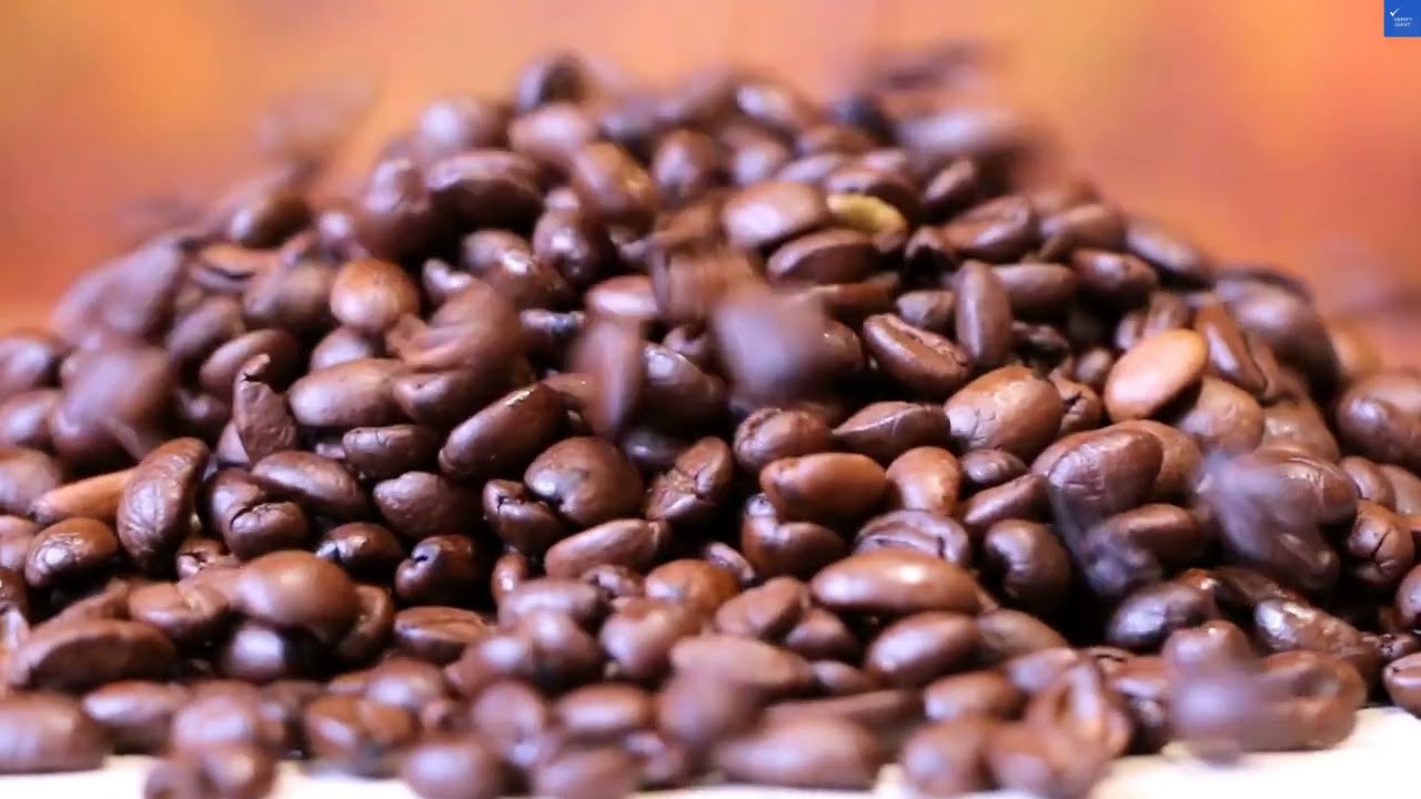 Holiday Inn Brooklyn Downtown an IHG Hotel Review  Brooklyn  United States of America