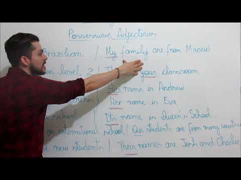 Adjetivos possessivos/ Pronomes