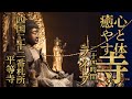 お寺の本堂 24時間ライブ配信 鳥や虫たちの声と共に