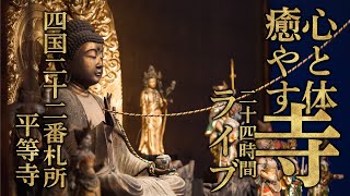 お寺の本堂 24時間ライブ配信 鳥や虫たちの声と共に