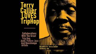 TERRY CALLIER LOVES TRIP HOP | 10. NUJABES Ft. TERRY CALLIER – Ordinary Joe (2005)