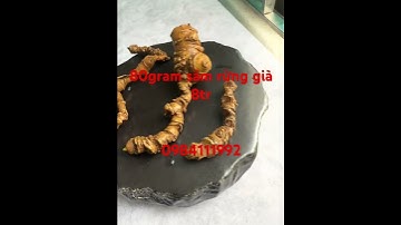 3 củ #sâm_ngọc_linh_rừng #sâm_lai_châu_rừng #sâm_rừng_lai_châu #sâm_ngọc_linh #sâm_lai_châu #sâm