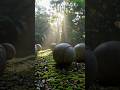 El misterio de las piedras redondas de Costa Rica