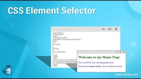 Element selector in CSS | Internal CSS | Introduction to CSS | GM Gondal Education | GM Gondal