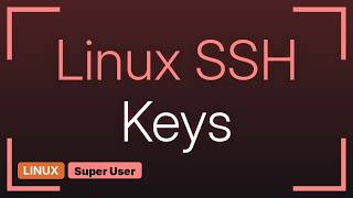 How to revoke access to users who had ssh-copy-id from my server (2 Solutions!!)