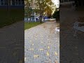 Осень: для дронов нашлась новая работа 🍁🍂🍁